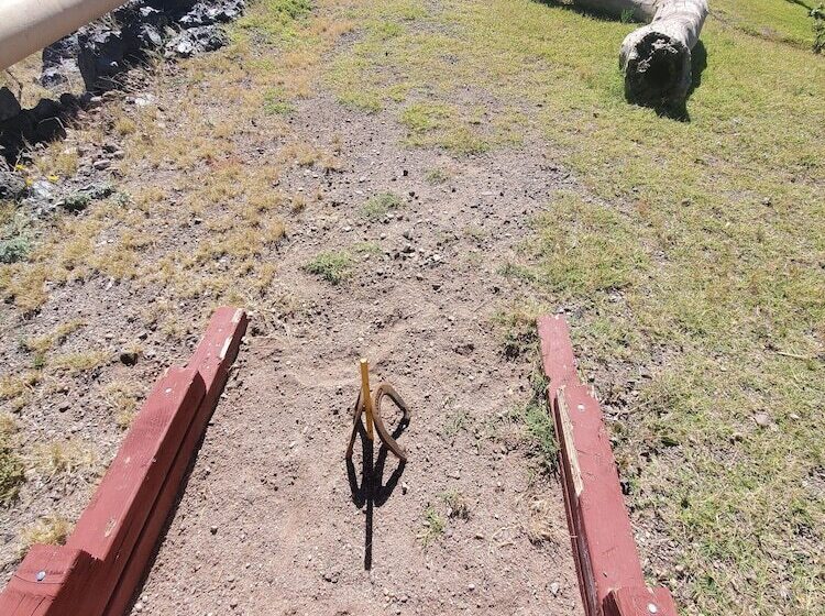 호텔 Rode Inn Of Clifton