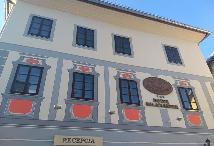 酒店 Salamander