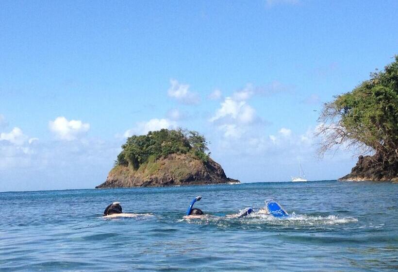 호텔 Scubaportobello