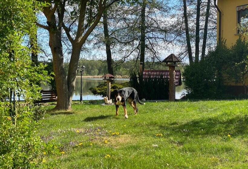 ホテル Seehof Netzen