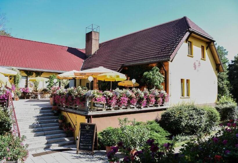 ホテル Seehof Netzen