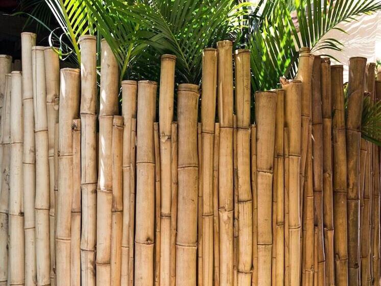 Отель Simple Backpackers Hostel