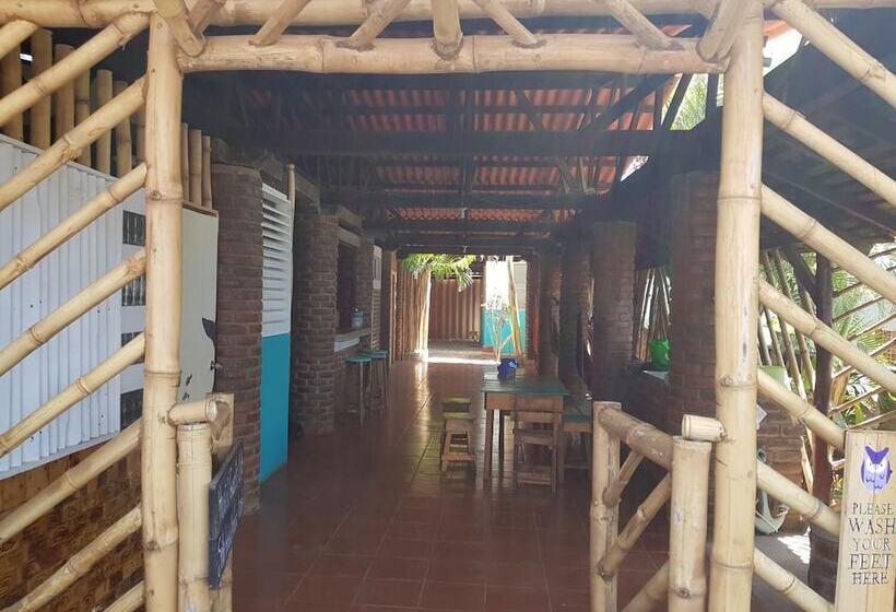 Отель Simple Backpackers Hostel