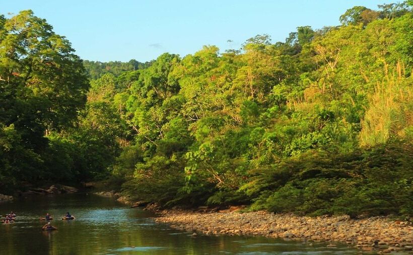 هتل Suchipakari Jungle Lodge