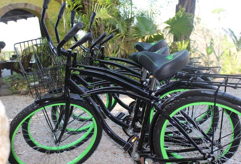 호텔 Nosara Sunrise Bed And Breakfast