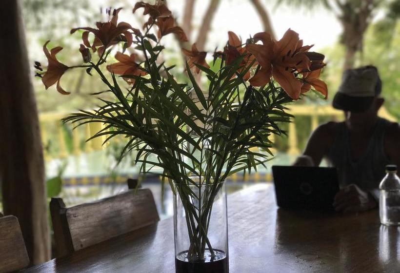 호텔 Nosara Sunrise Bed And Breakfast