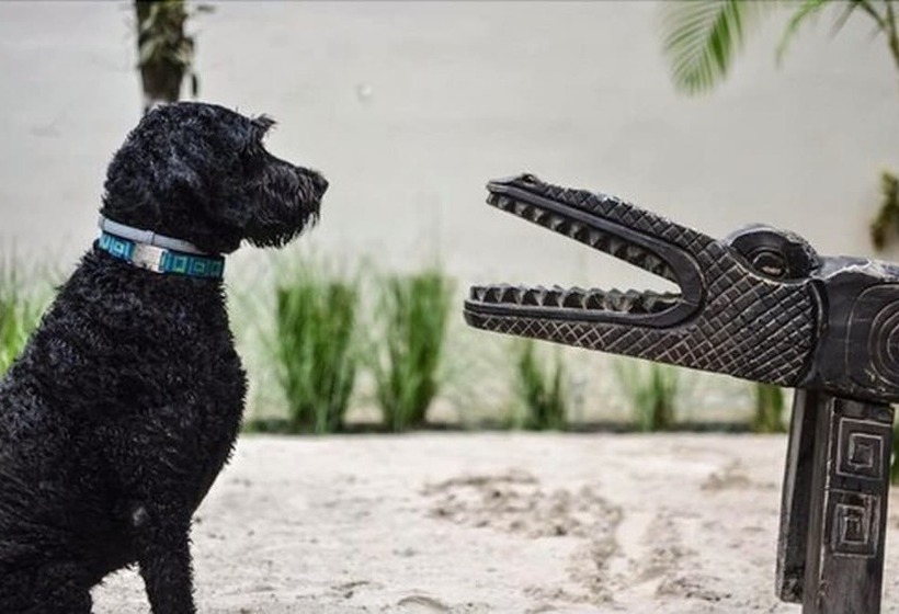 ホテル Ten North Tamarindo Beach