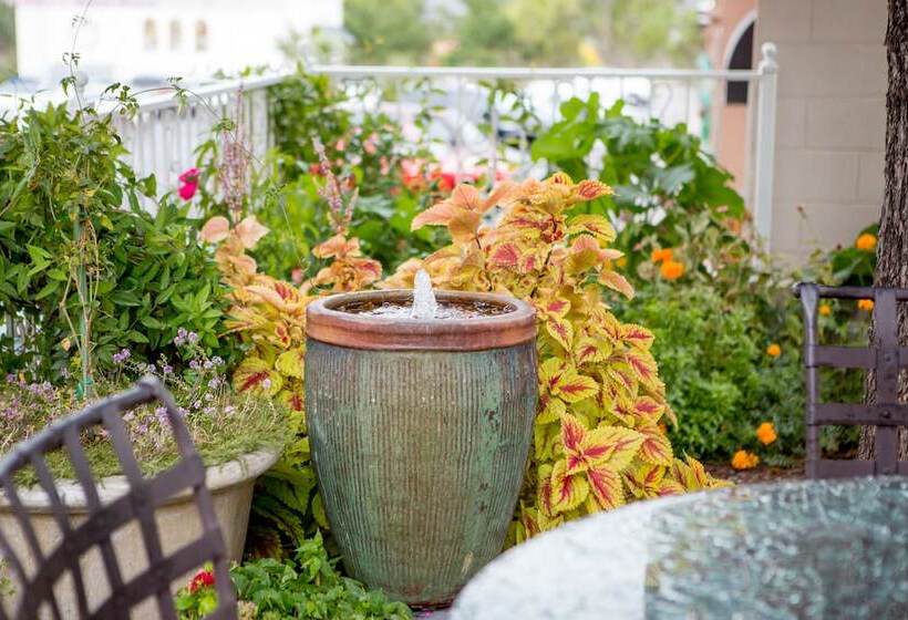 Отель The Chalet