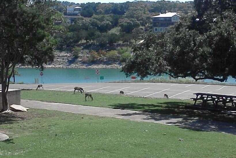 فندق Lodge At Turkey Cove