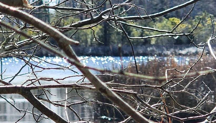 בית מלון כפרי The White House On Freedom Way