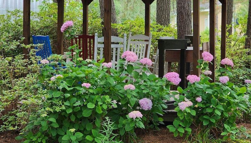 Отель The White House On Freedom Way