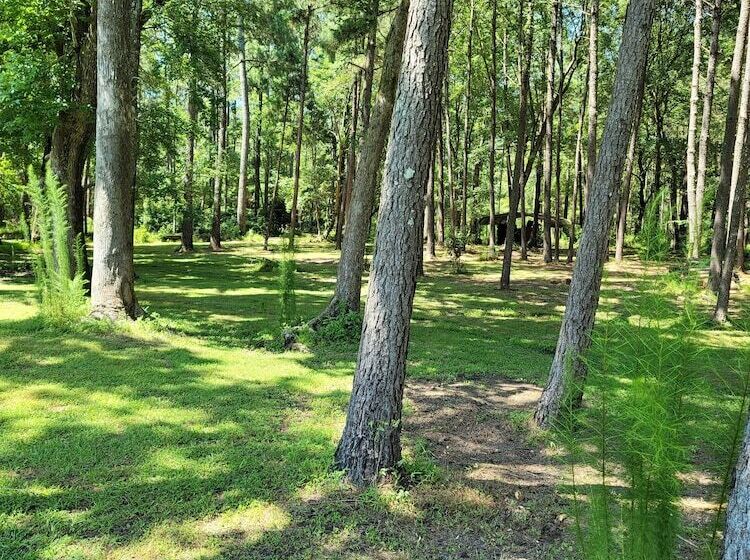 Отель The White House On Freedom Way