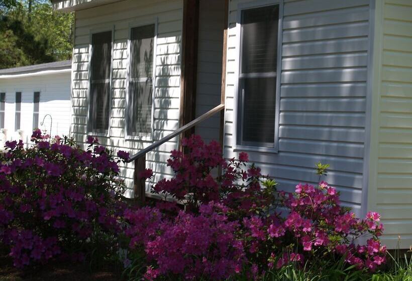 בית מלון כפרי The White House On Freedom Way