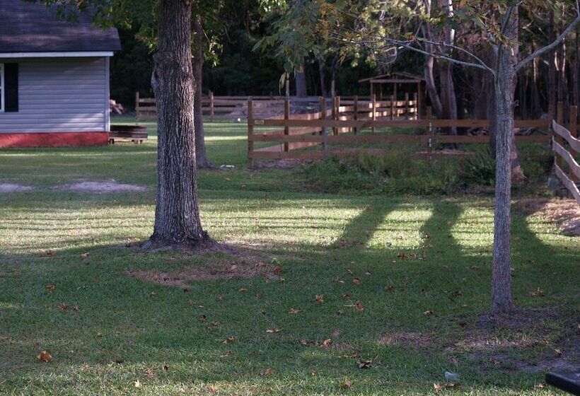 בית מלון כפרי The White House On Freedom Way