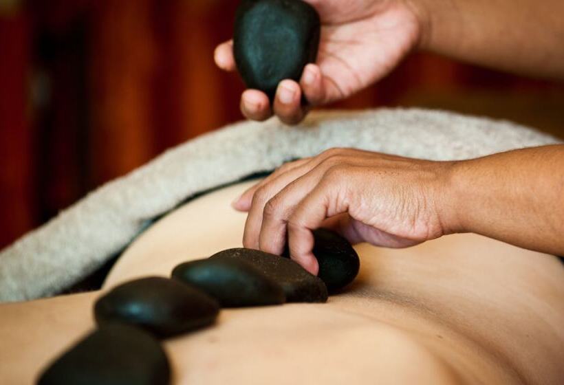 酒店 Thelab Robertson