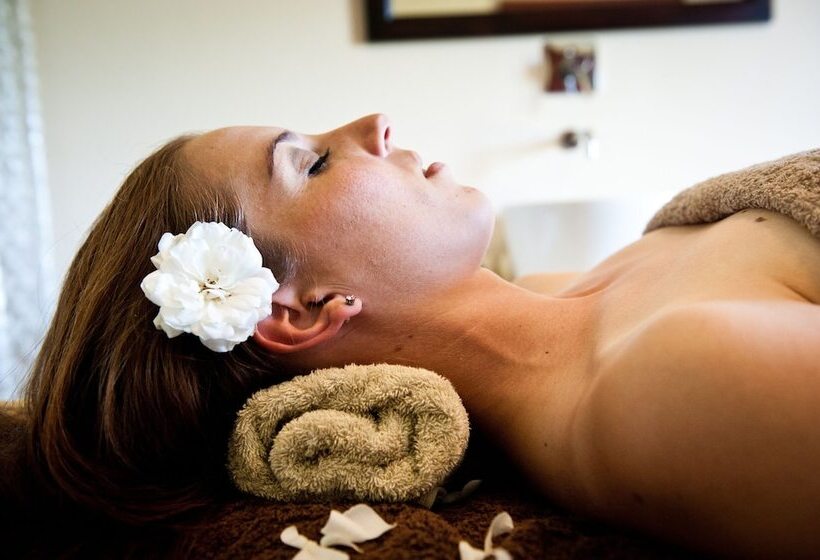 酒店 Thelab Robertson