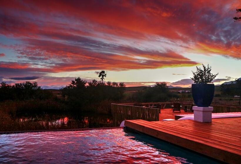 酒店 Thelab Robertson