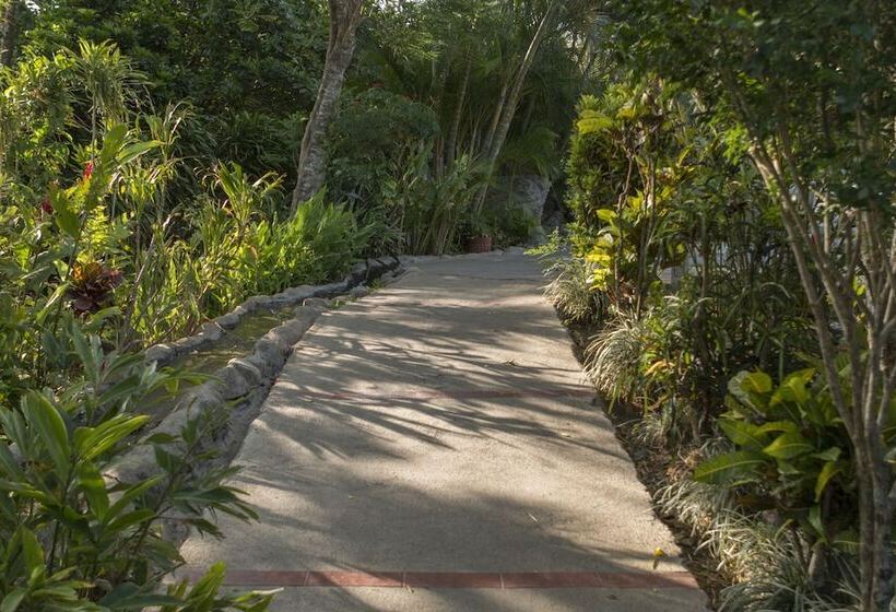 فندق Thermomanía