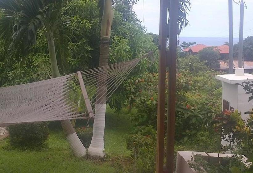 هتل Three Monkeys