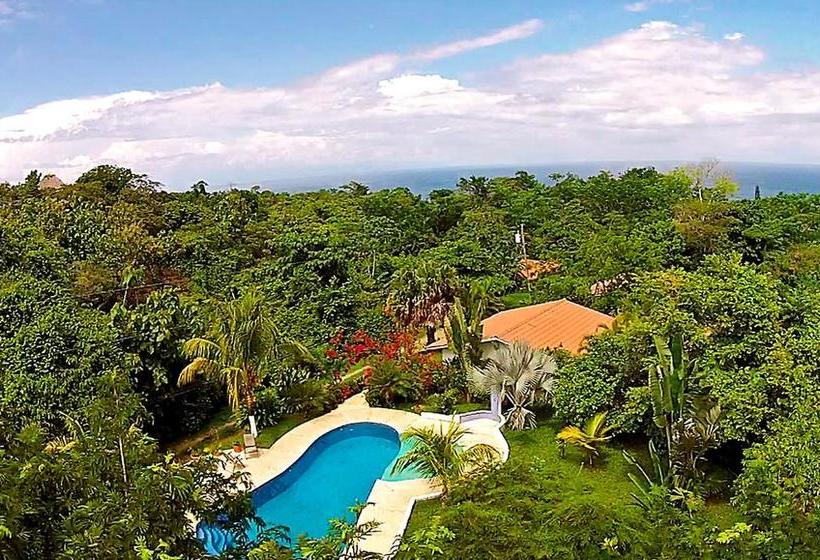 هتل Three Monkeys