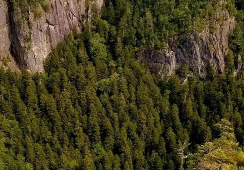 호텔 Tidal Watch Inn