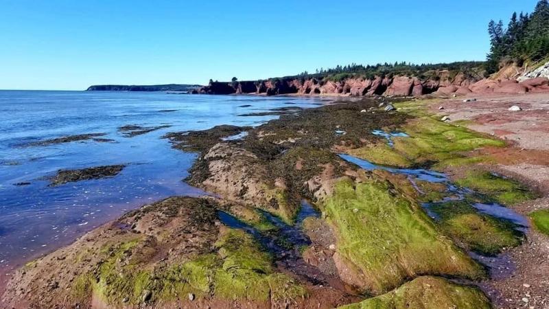 Отель Tidal Watch Inn