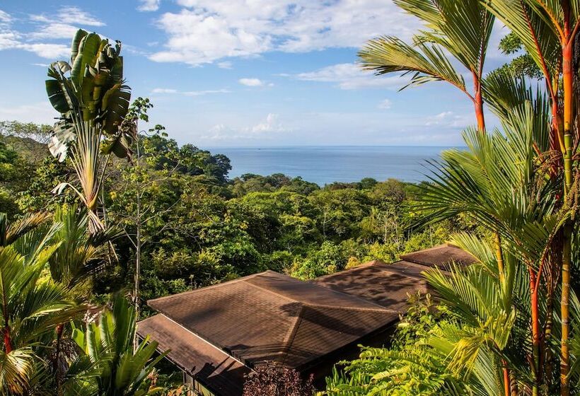 فندق Tiki Villas Rainforest Lodge & Spa