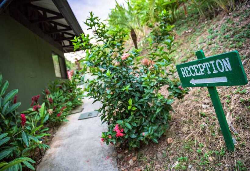 فندق Tiki Villas Rainforest Lodge & Spa