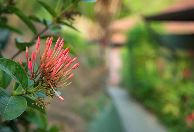 فندق Tiki Villas Rainforest Lodge & Spa