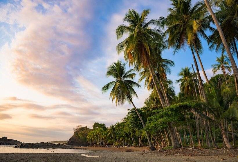 فندق Tiki Villas Rainforest Lodge & Spa