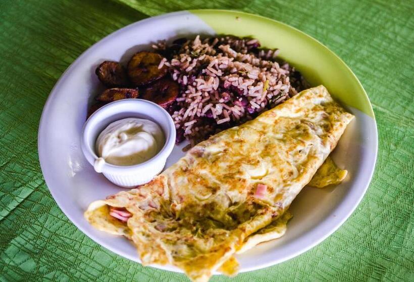 فندق Tortuguero Beachfront