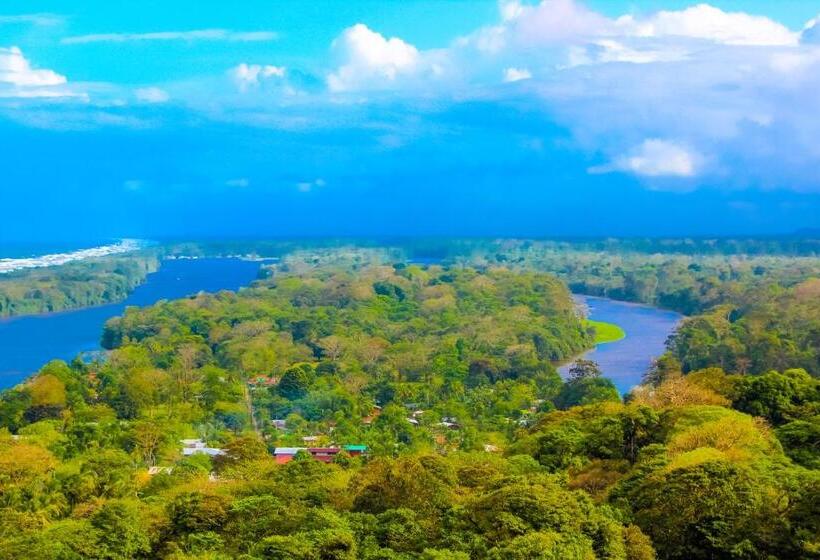 فندق Tortuguero Beachfront