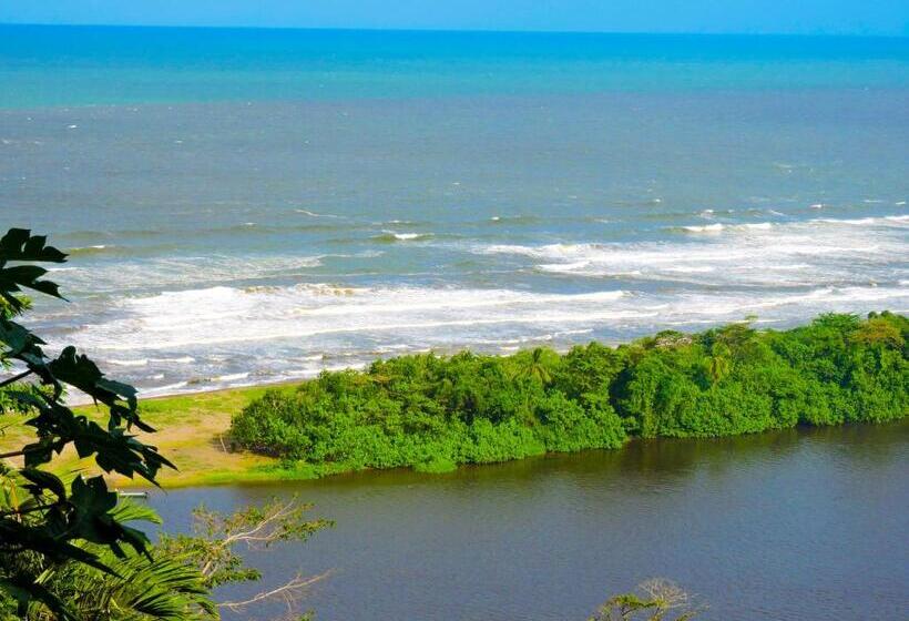 فندق Tortuguero Beachfront