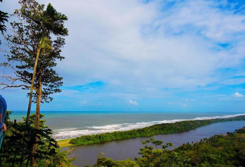 فندق Tortuguero Beachfront