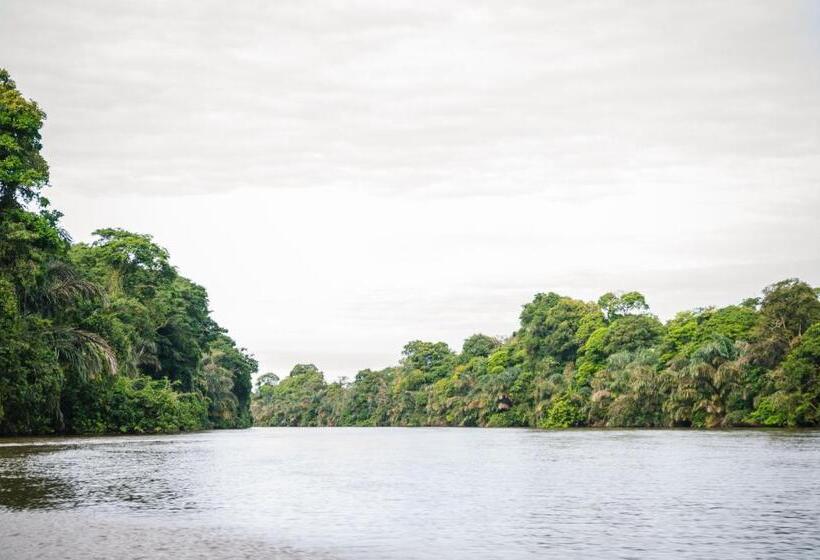 فندق Tortuguero Beachfront