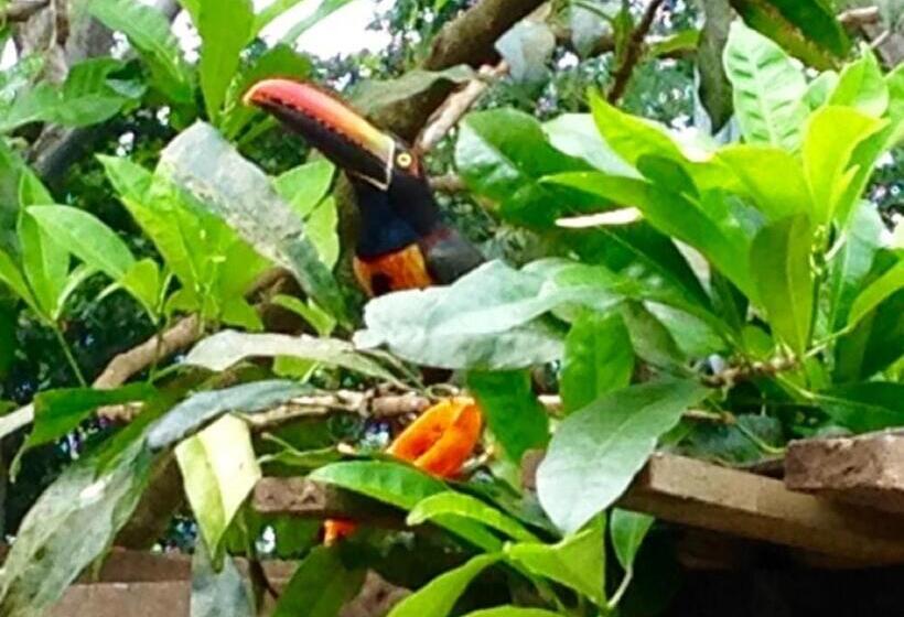 فندق Tropical Sands Dominical