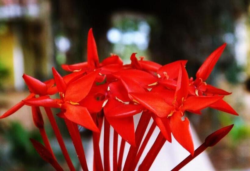 فندق Villas De La Colina