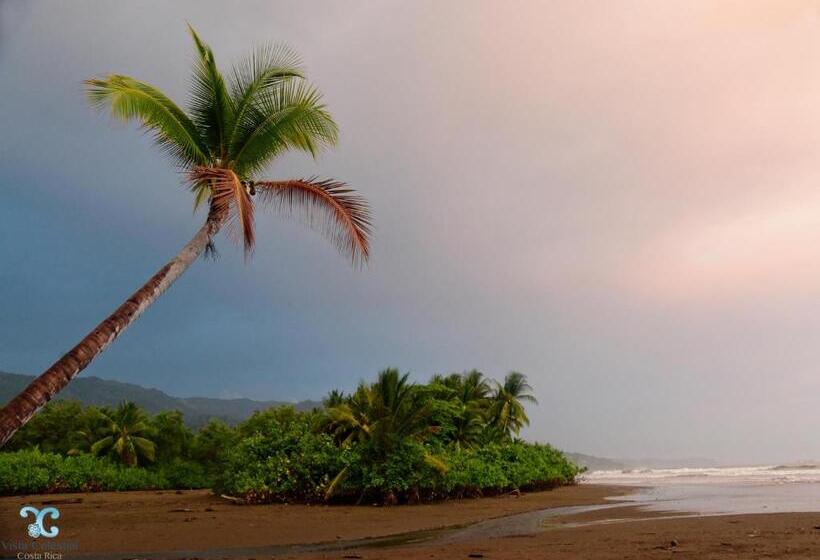 فندق Vista Celestial