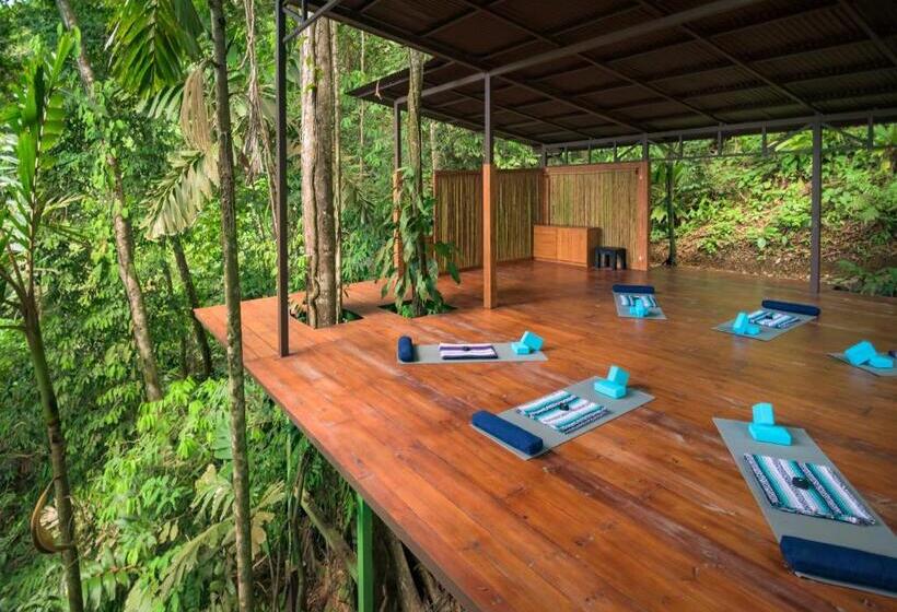 فندق Vista Celestial