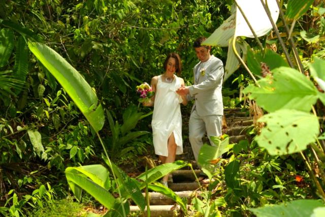 فندق Waterfall Villas