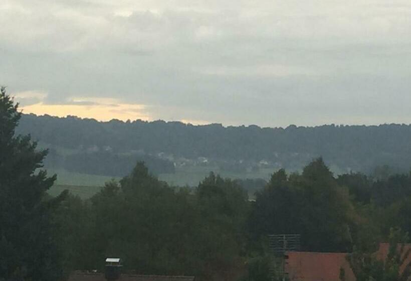 호텔 Gasthof Weißer Löwe Inh Björn Simon Reese