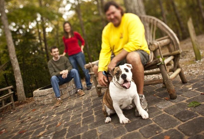 호텔 Williamsburg Campground