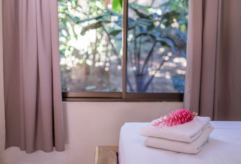 בית מלון כפרי Zula Inn Apart