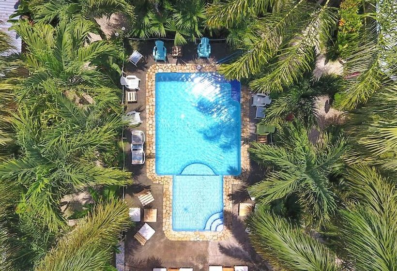 בית מלון כפרי Zula Inn Apart