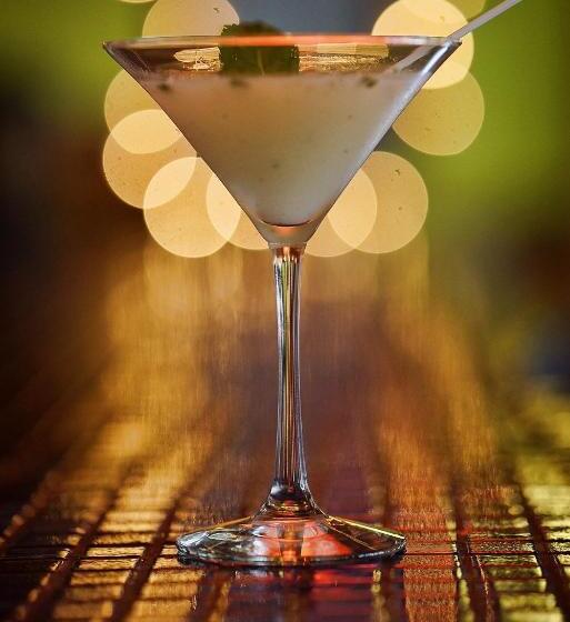 In The Shade Hotel Coworking 300mbit Adults Only