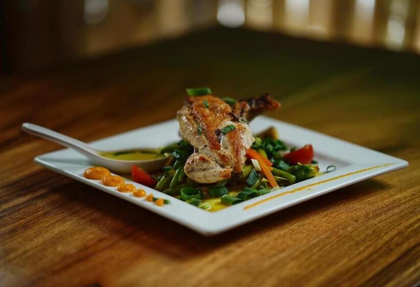 In The Shade Hotel Coworking 300mbit Adults Only