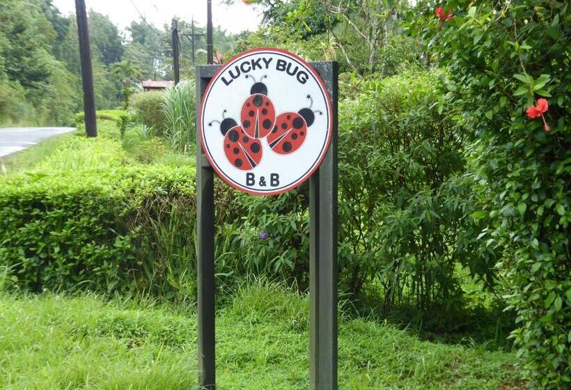 Lucky Bug Bed And Breakfast