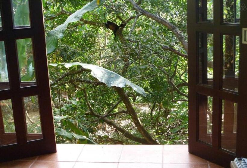 Luz En El Cielo Eco B&b/hostel