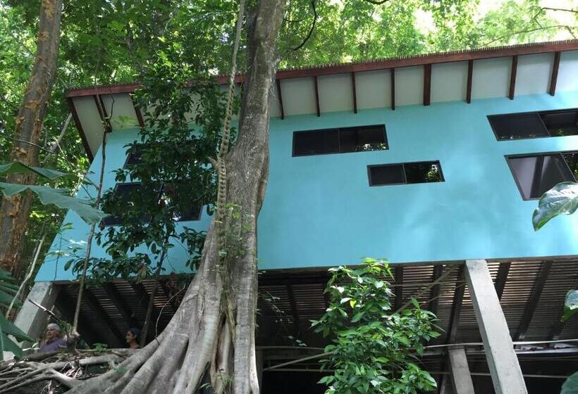 Luz En El Cielo Eco B&b/hostel