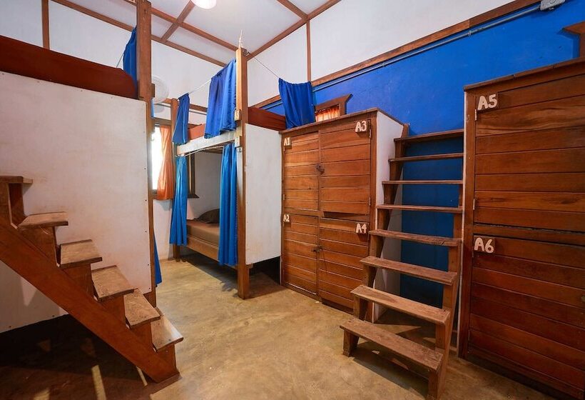 Playa 506 Beachfront Hostel